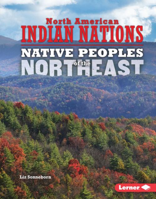 Cover of the book Native Peoples of the Northeast by Liz Sonneborn, Lerner Publishing Group