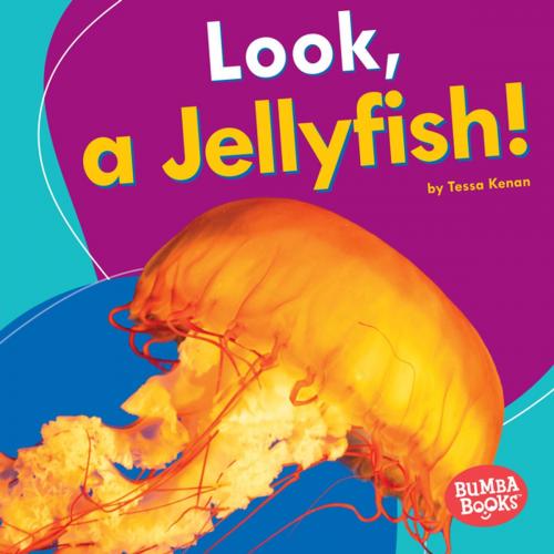 Cover of the book Look, a Jellyfish! by Tessa Kenan, Lerner Publishing Group