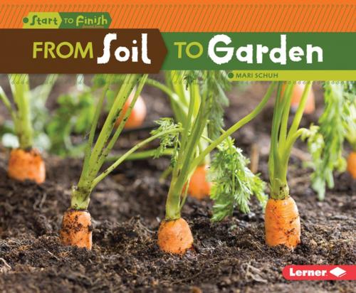 Cover of the book From Soil to Garden by Mari Schuh, Lerner Publishing Group