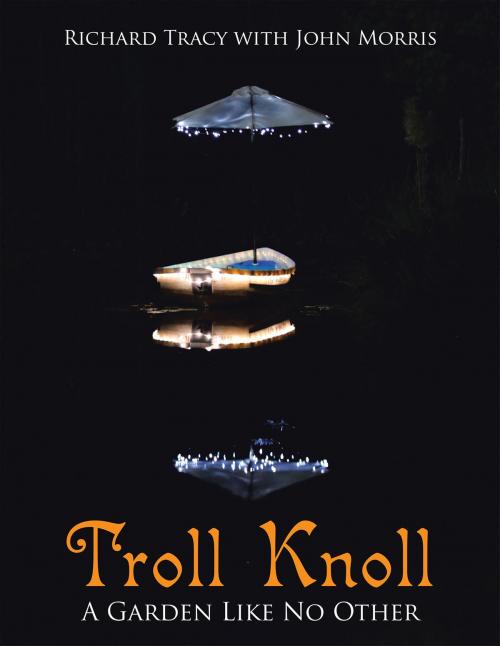 Cover of the book Troll Knoll by Richard Tracy, Xlibris US
