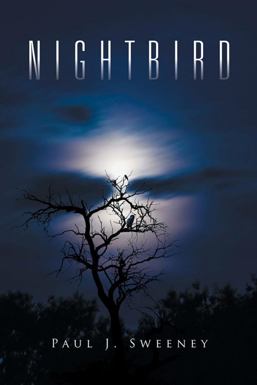 Cover of the book Nightbird by Paul J. Sweeney, Xlibris AU