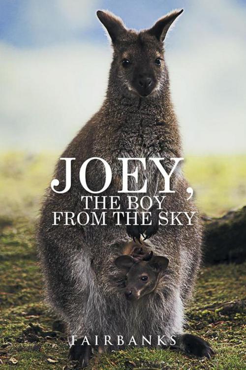 Cover of the book Joey, the Boy from the Sky by Fairbanks, Xlibris AU