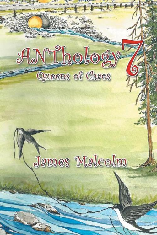 Cover of the book Anthology 7 by James Malcolm, Xlibris US