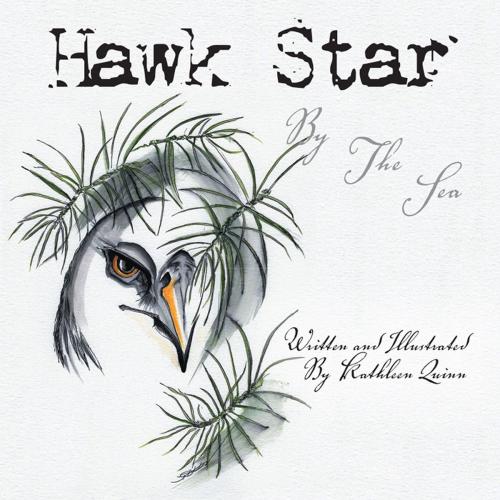Cover of the book Hawk Star by the Sea by Kathleen Quinn, Xlibris US