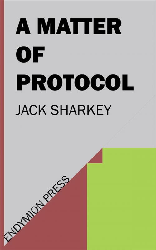 Cover of the book A Matter of Protocol by Jack Sharkey, Endymion Press