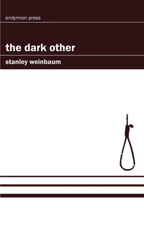 Cover of the book The Dark Other by Stanley Weinbaum, Endymion Press