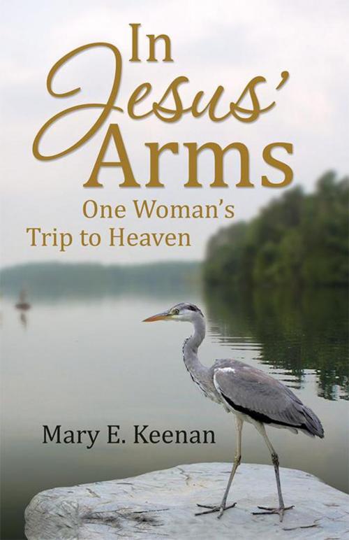 Cover of the book In Jesus’ Arms by Mary E. Keenan, iUniverse