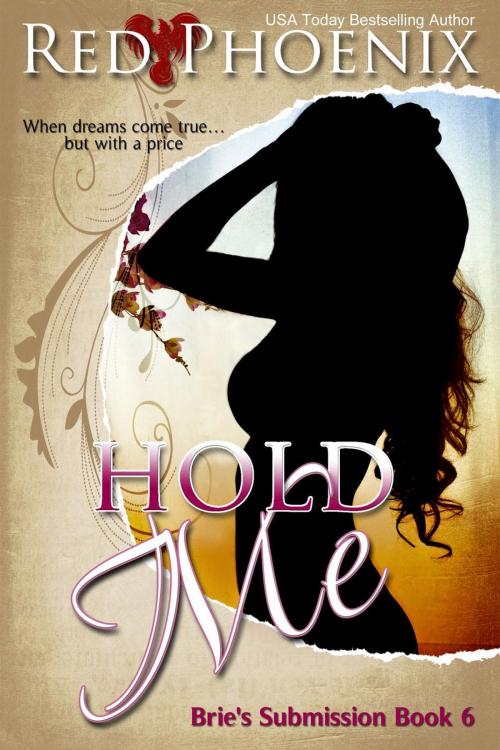 Cover of the book Hold Me by Red Phoenix, Provocative Romance