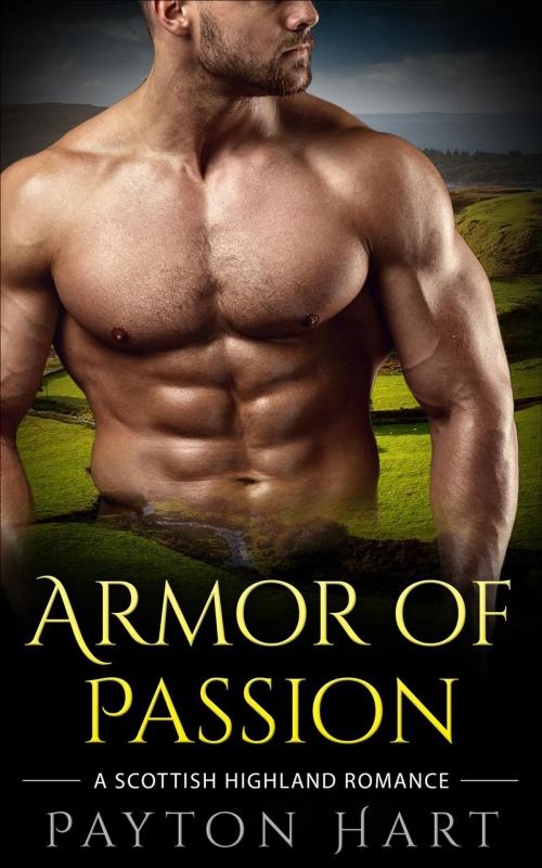 Cover of the book Armor of Passion by Payton Hart, Payton Hart