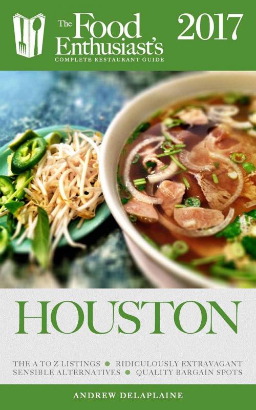 Cover of the book Houston - 2017 by Andrew Delaplaine, Gramercy Park Press