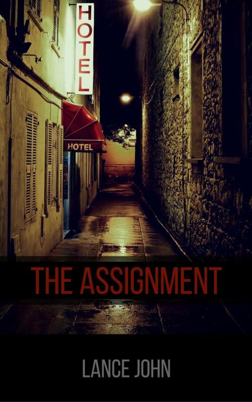 Cover of the book The Assignment by Lance John, Lance John