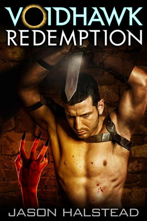Cover of the book Voidhawk - Redemption by Jason Halstead, Novel Concept Publishing LLC