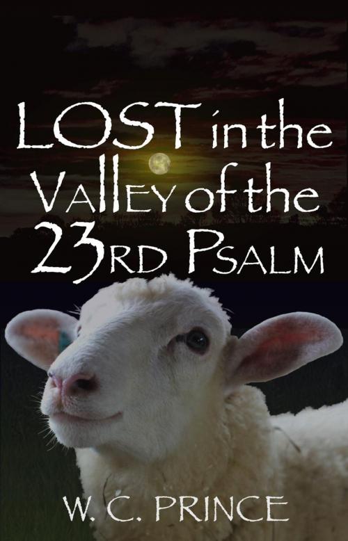 Cover of the book LOST in the Valley of the 23rd Psalm by W.C. Prince, W.C. Prince