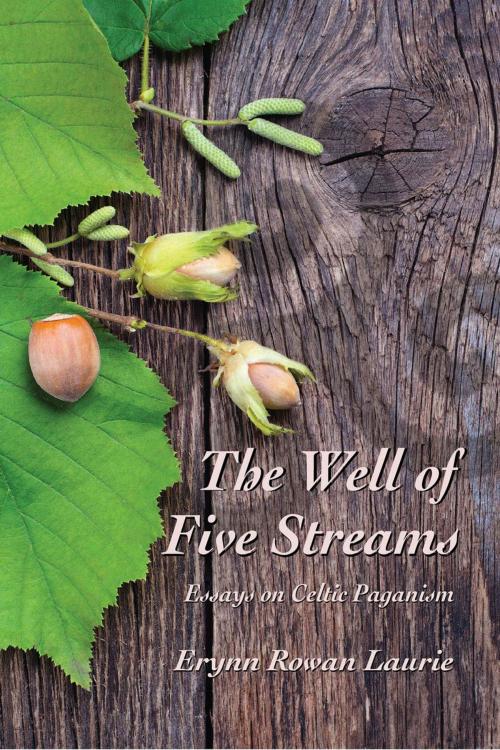 Cover of the book The Well of Five Streams Essays on Celtic Paganism by Erynn Rowan Laurie, Immanion Press