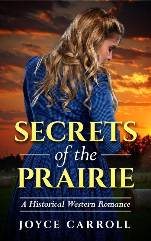 Cover of the book Secrets of the Prairie by Joyce Carroll, Joyce Carroll