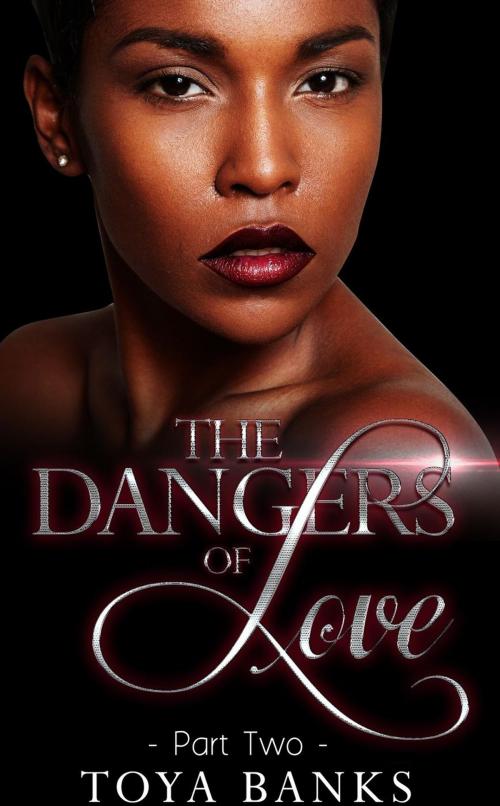 Cover of the book The Dangers Of Love 2 by Toya Banks, Mahogany Publications