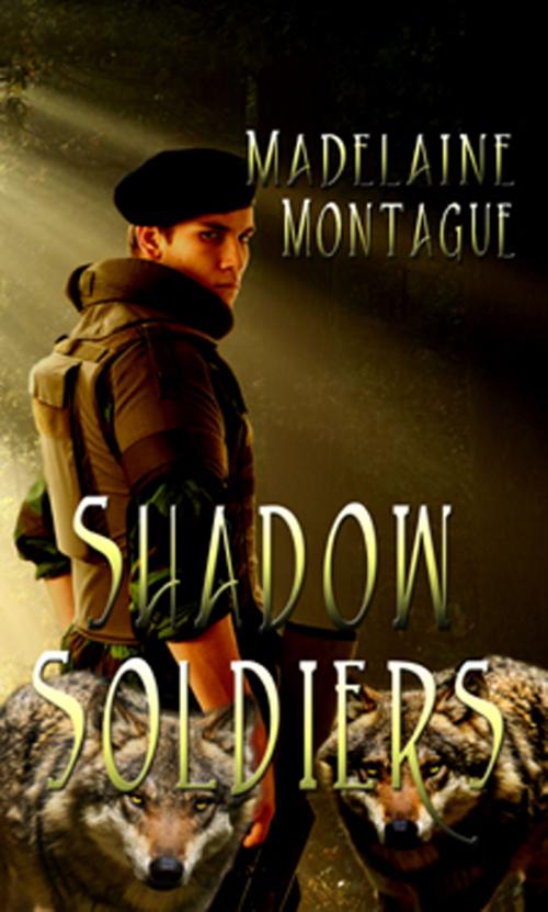 Cover of the book Shadow Soldiers by Madelaine Montague, New Concepts Publishing