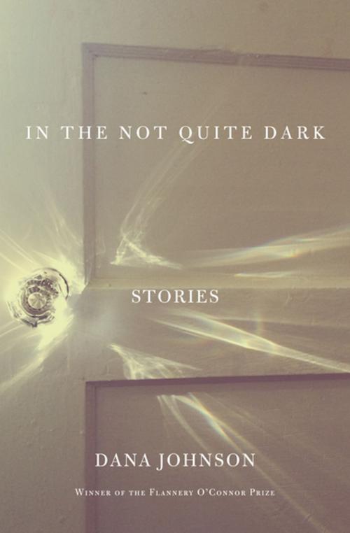 Cover of the book In the Not Quite Dark by Dana Johnson, Counterpoint Press