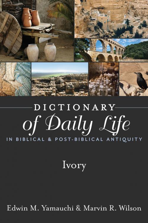 Cover of the book Dictionary of Daily Life in Biblical & Post-Biblical Antiquity: Ivory by Yamauchi, Edwin M, Wilson, Marvin R., Hendrickson Publishers