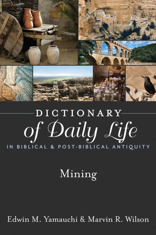 Cover of the book Dictionary of Daily Life in Biblical & Post-Biblical Antiquity: Mining by Yamauchi, Edwin M, Wilson, Marvin R., Hendrickson Publishers