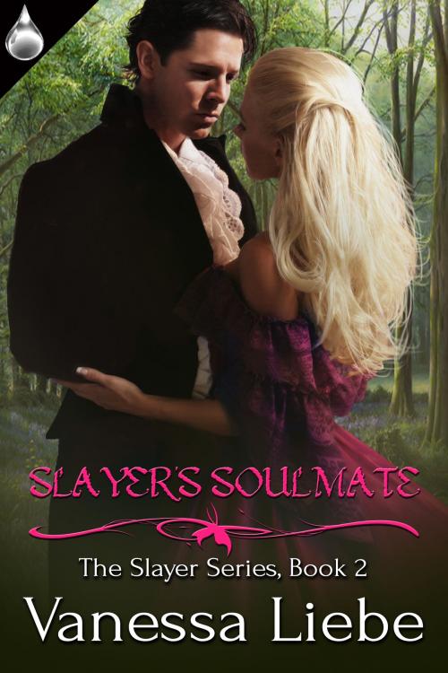 Cover of the book Slayer's Soulmate by Vanessa Liebe, Liquid Silver Books