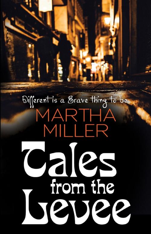 Cover of the book Tales from the Levee by Martha Miller, Bold Strokes Books, Inc.