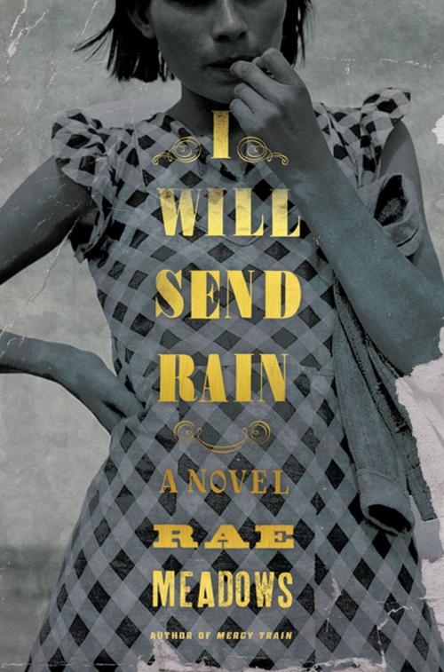 Cover of the book I Will Send Rain by Rae Meadows, Henry Holt and Co.
