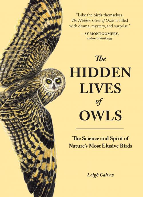 Cover of the book The Hidden Lives of Owls by Leigh Calvez, Sasquatch Books