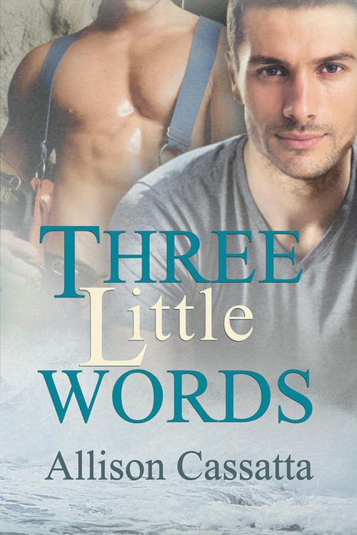 Cover of the book Three Little Words by Allison Cassatta, Dreamspinner Press