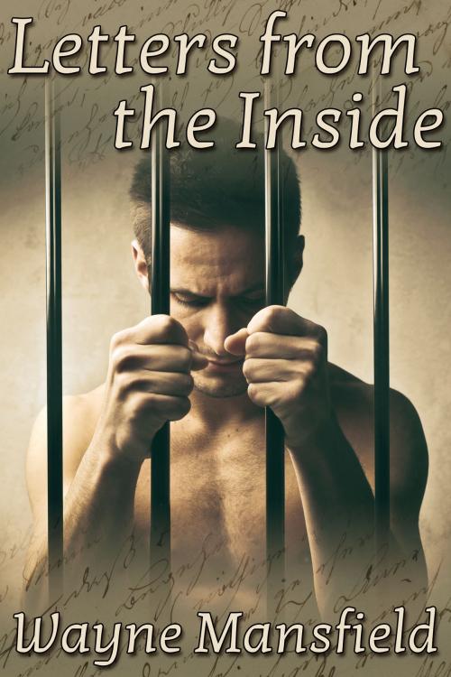 Cover of the book Letters from the Inside by Wayne Mansfield, JMS Books LLC