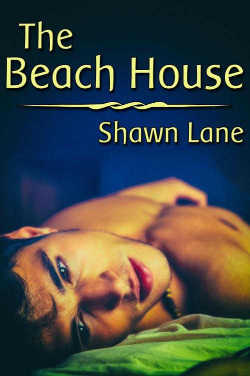 Cover of the book The Beach House by Shawn Lane, JMS Books LLC
