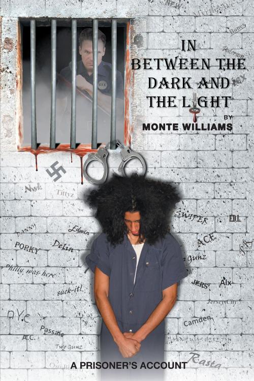 Cover of the book In Between the Dark and the Light: A Prisoner's Account by Monte Williams, Page Publishing, Inc.