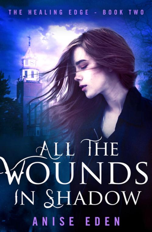 Cover of the book All the Wounds in Shadow by Anise Eden, Diversion Books