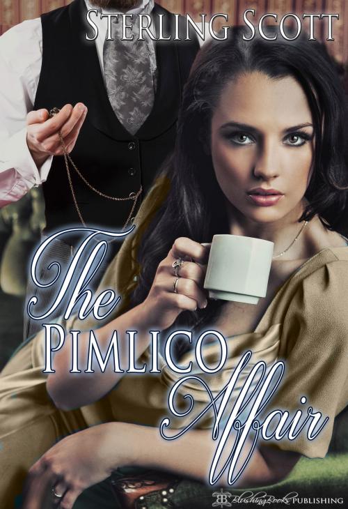 Cover of the book The Pimlico Affair by Sterling Scott, Blushing Books Publications