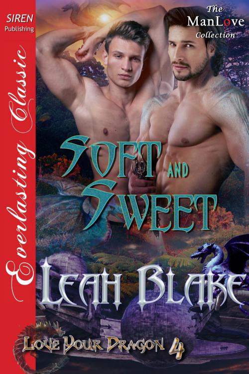 Cover of the book Soft and Sweet by Leah Blake, Siren-BookStrand