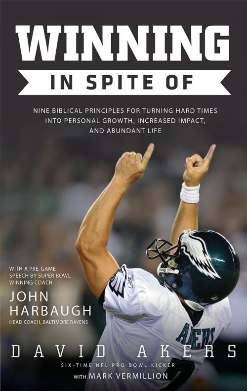 Cover of the book Winning in Spite Of: Nine Biblical Principles for Turning Hard Times into Personal Growth, Increased Impact, and Abundant Life by David Akers, Redemption Press