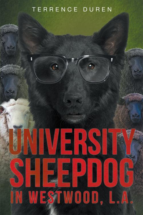 Cover of the book University Sheepdog in Westwood, L.A. by Terrence Duren, Page Publishing, Inc.