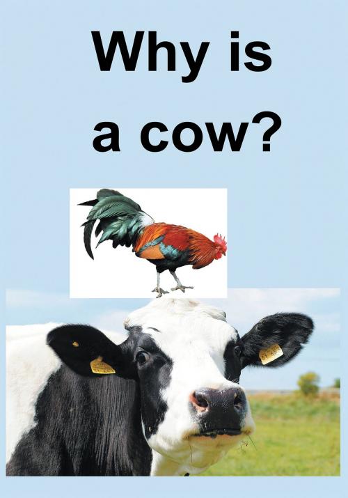 Cover of the book Why Is a Cow? by Allen Brown, Page Publishing, Inc.