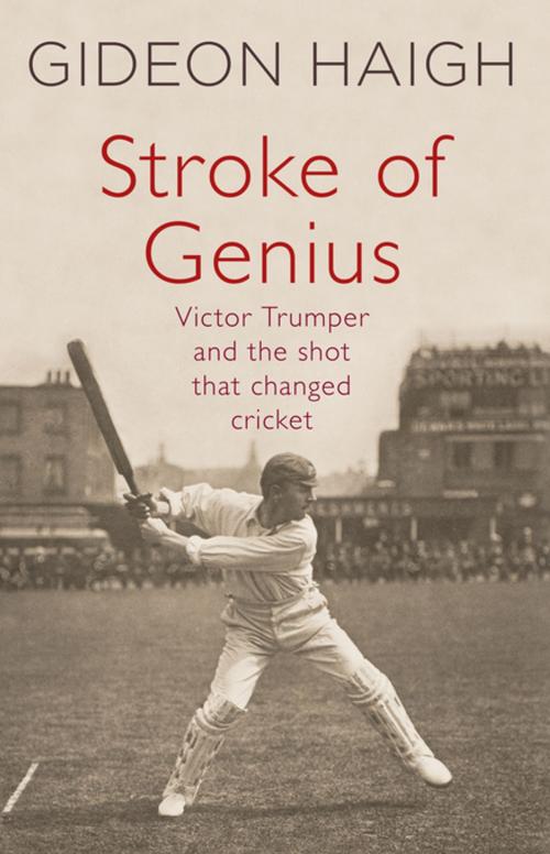 Cover of the book Stroke of Genius by Gideon Haigh, Penguin Random House Australia