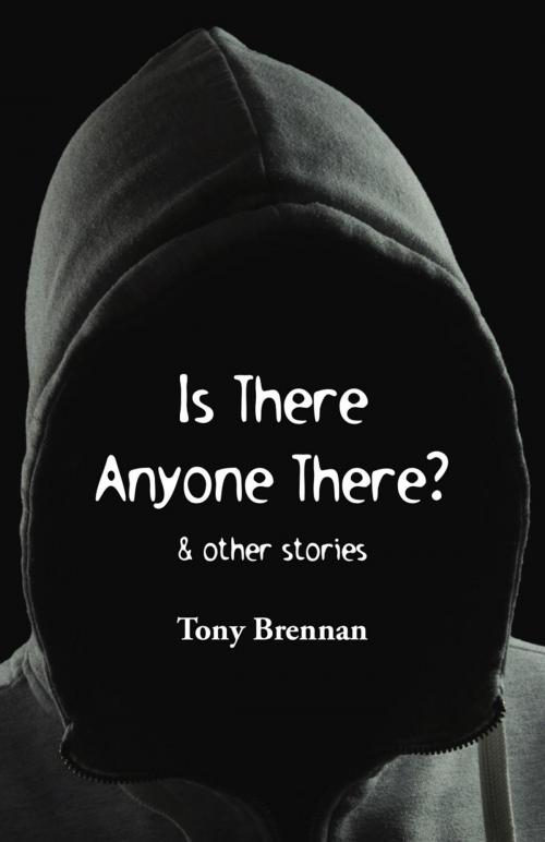 Cover of the book Is There Anyone There? by Tony Brennan, Ginninderra Press