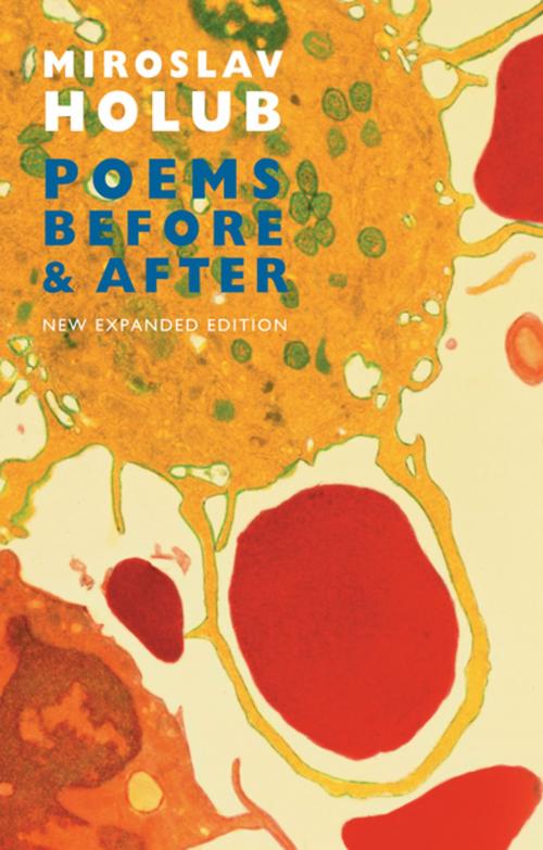 Cover of the book Poems Before & After by Miroslav Holub, Bloodaxe Books