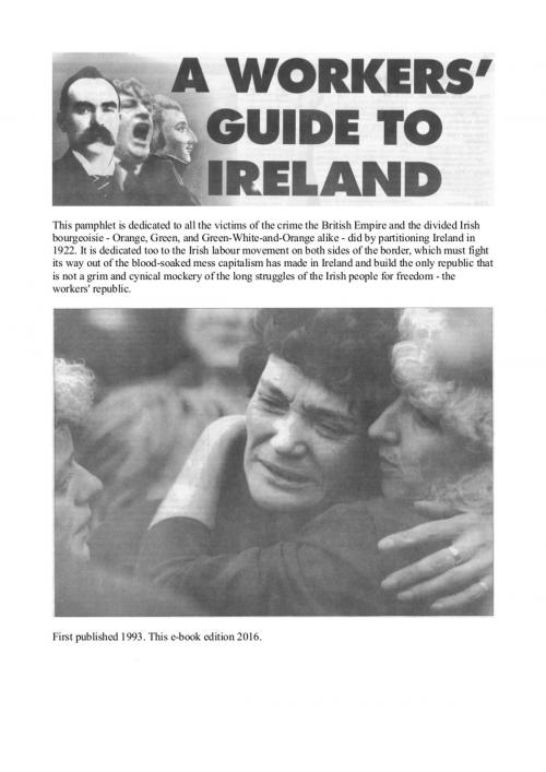 Cover of the book A Workers' Guide to Ireland by Sean Matgamna, Workers' Liberty