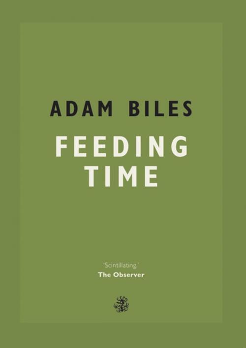 Cover of the book Feeding Time by Adam Biles, Galley Beggar Press