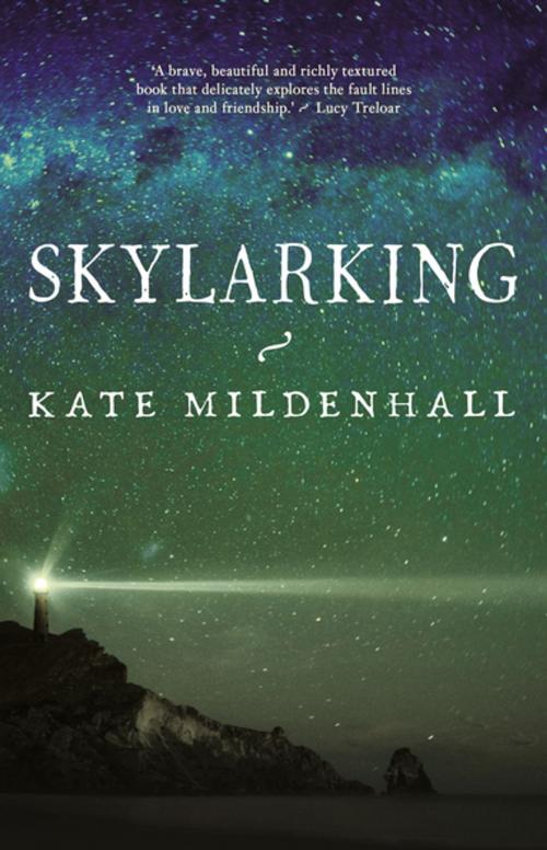 Cover of the book Skylarking by Kate Mildenhall, Schwartz Publishing Pty. Ltd