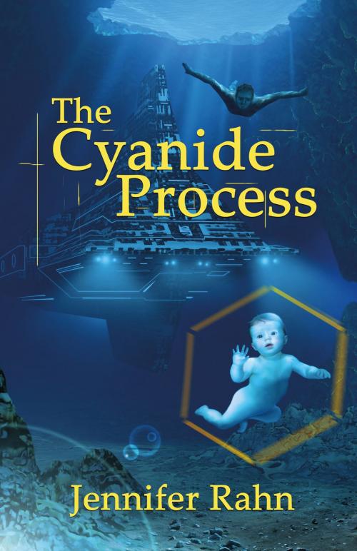 Cover of the book The Cyanide Process by Jennifer Rahn, Bundoran Press