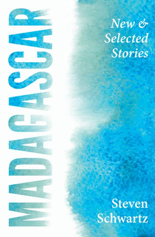 Cover of the book Madagascar: New and Selected Stories by Steven Schwartz, Engine Books