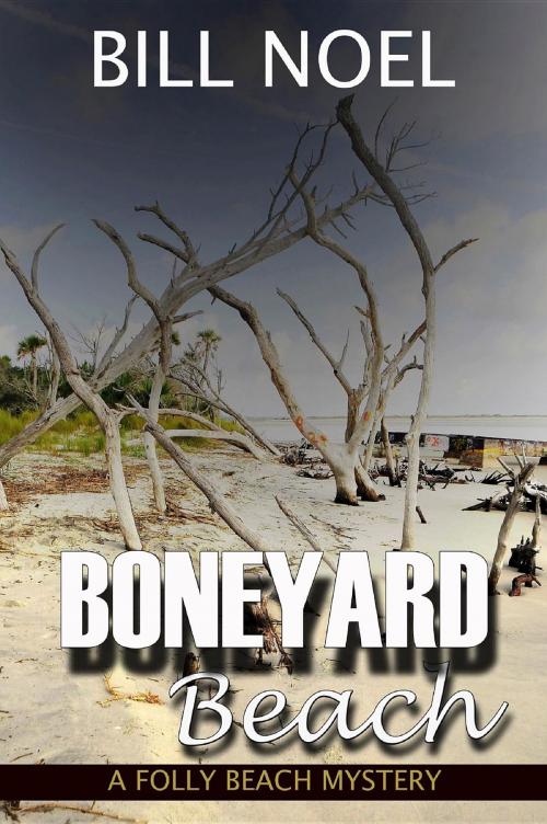 Cover of the book Boneyard Beach by Bill Noel, Hydra Publications