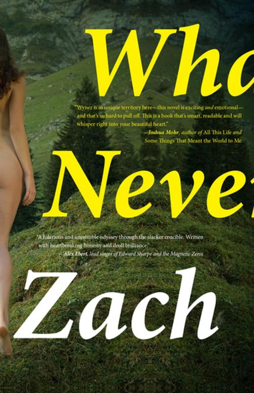Cover of the book What We Never Had by Zach Wyner, Rare Bird Books