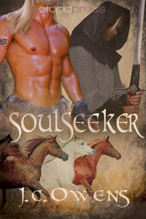 Cover of the book Soulseeker by J. C. Owens, Etopia Press