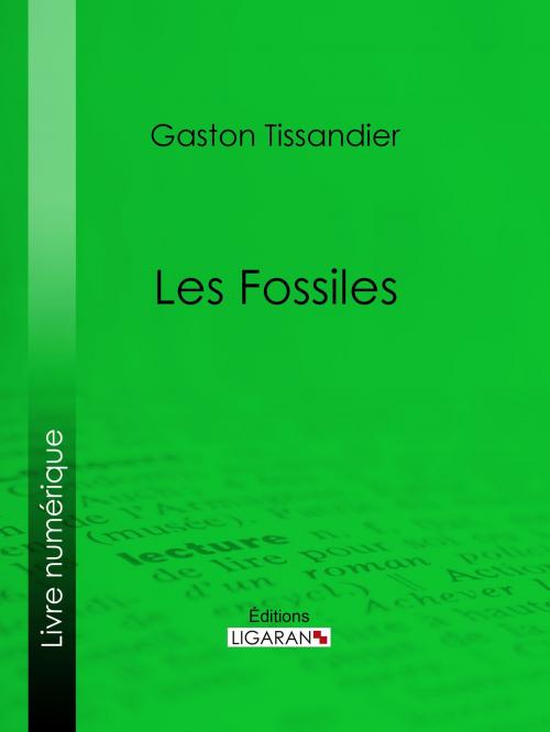 Cover of the book Les Fossiles by Gaston Tissandier, Ligaran, Ligaran